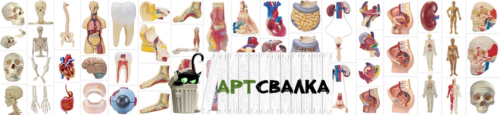 Фото части тела человека | Photo parts of human body